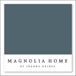 Magnolia Home by Joanna Gaines Bright Future MAG117