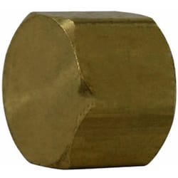 Anderson Metals 15/16 in. Flare in. Brass Gas Appliance Cap