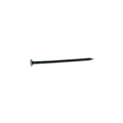 Maze Nails 3D 1-1/4 in. Slate Polished Copper Nail Flat Head 1 lb