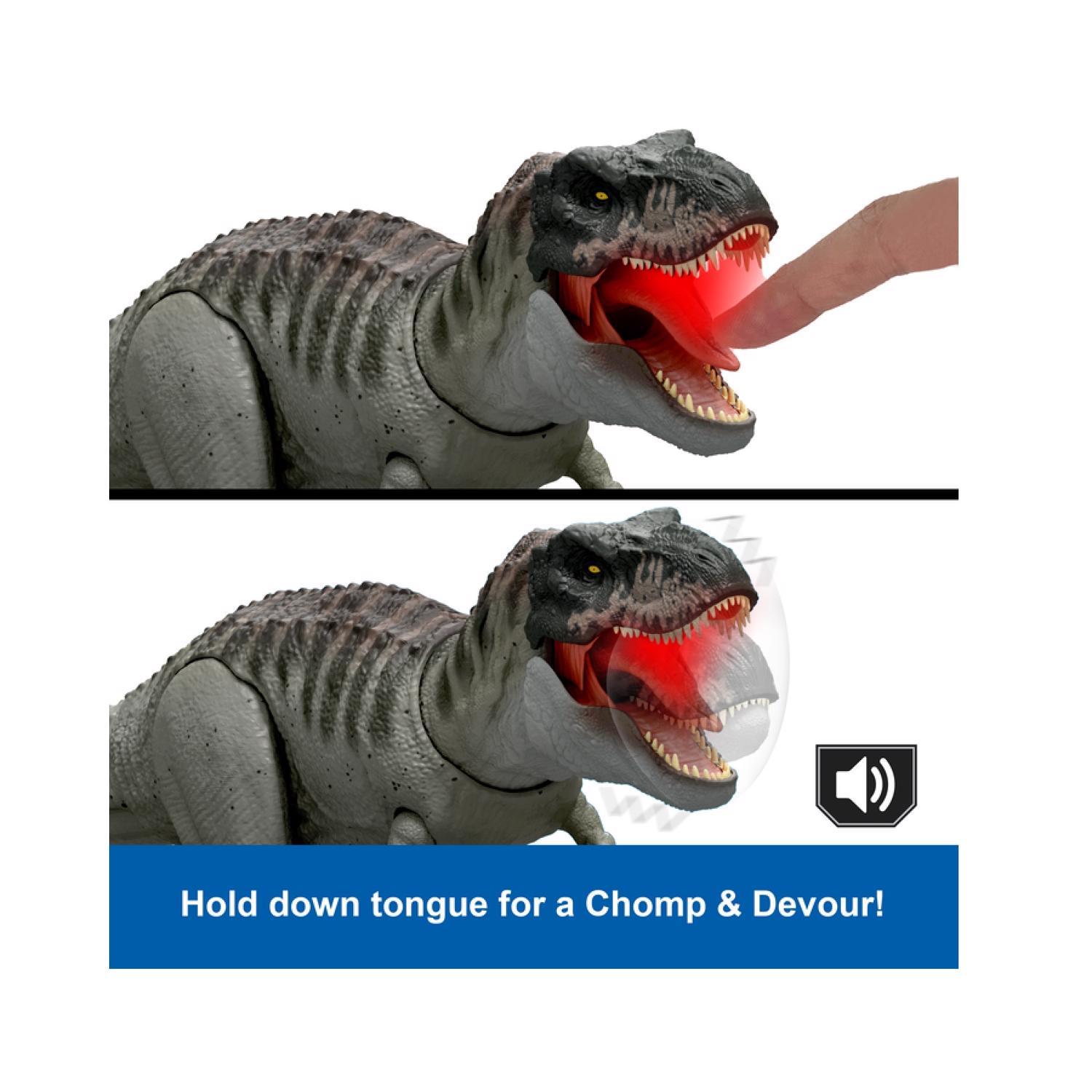 https://cdn-tp3.mozu.com/24645-37138/cms/37138/files/99797d52-37ea-407f-a4d9-e52c2b4115d9