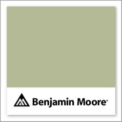 Benjamin Moore Spring has Sprung CSP-835