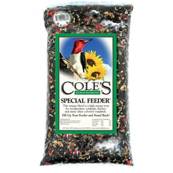 Cole's Special Feeder Wild Bird Black Oil Sunflower Bird Seed 10 lb