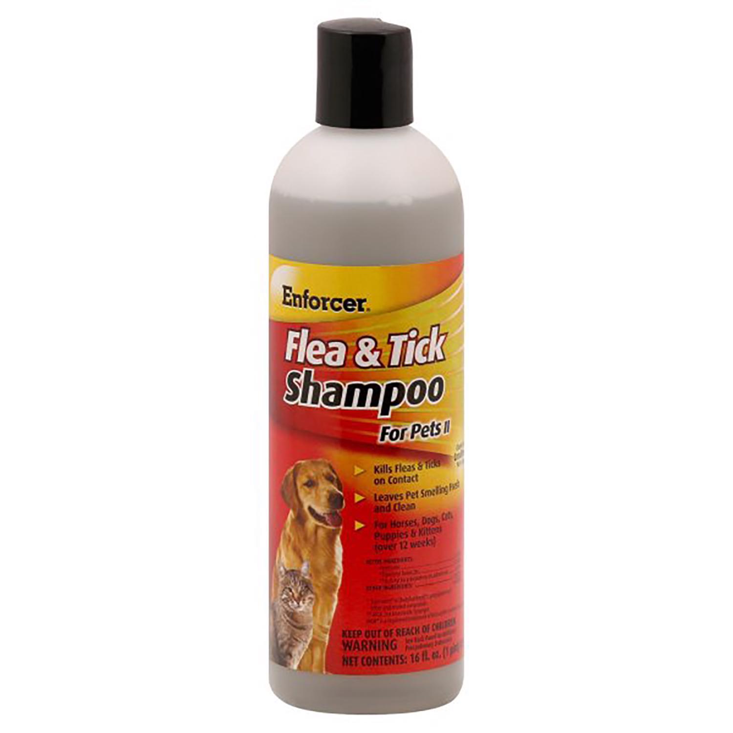 Enforcer Liquid Cat And Dog Flea And Tick Shampoo Pyrethrins 16 Oz ...