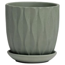 Chive Virago 3.3 in. D Ceramic Shape E Succulent Pot Olive