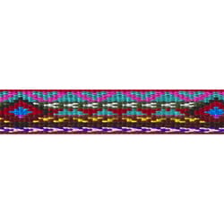 LupinePet Original Designs Multicolor El Paso Nylon Dog Leash