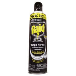 Raid Wasp and Hornet Killer Spray 17.5 oz