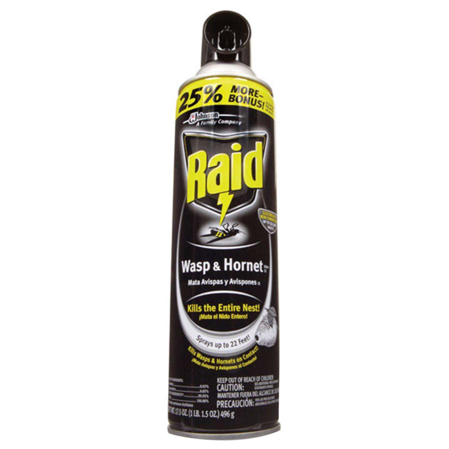 Raid Wasp and Hornet Killer Spray 17.5 oz - Ace Hardware