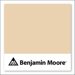 Benjamin Moore Chamois 1108