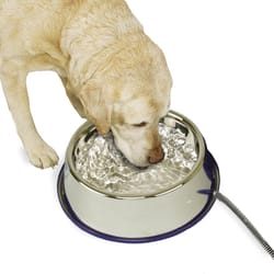 K&H Pet Prodcuts Gray Stainless Steel 102 oz Heated Pet Bowl For Dogs