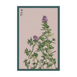 Chive Shido Seed Co Thyme Herb Seeds 1 pk