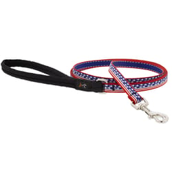 Lupine Pet MicroBatch Limited Multicolored Stars and Stripes Nylon Dog Leash