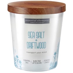 Candle-Lite Essential Elements White Sea Salt/Driftwood Scent Candle 9 oz