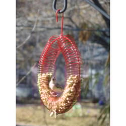 Songbird Essentials Woodpecker Metal Whole Peanut Wreath Ring Bird Feeder