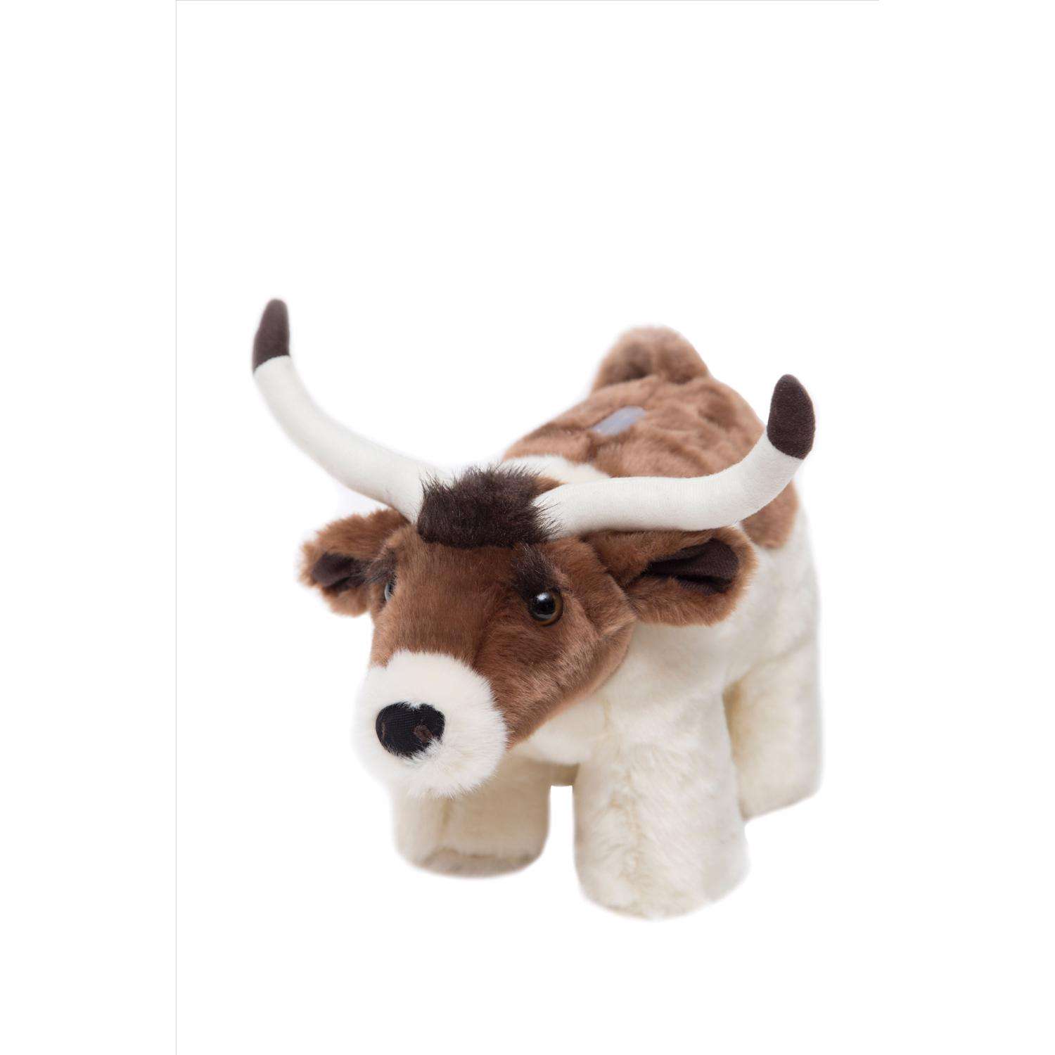 Carstens Inc 6 in. H X 8 in. W X 12 in. L Multicolored Polyester Coin