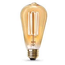 Feit ST19 E26 (Medium) Filament LED Bulb Warm White 40 Watt Equivalence 2 pk