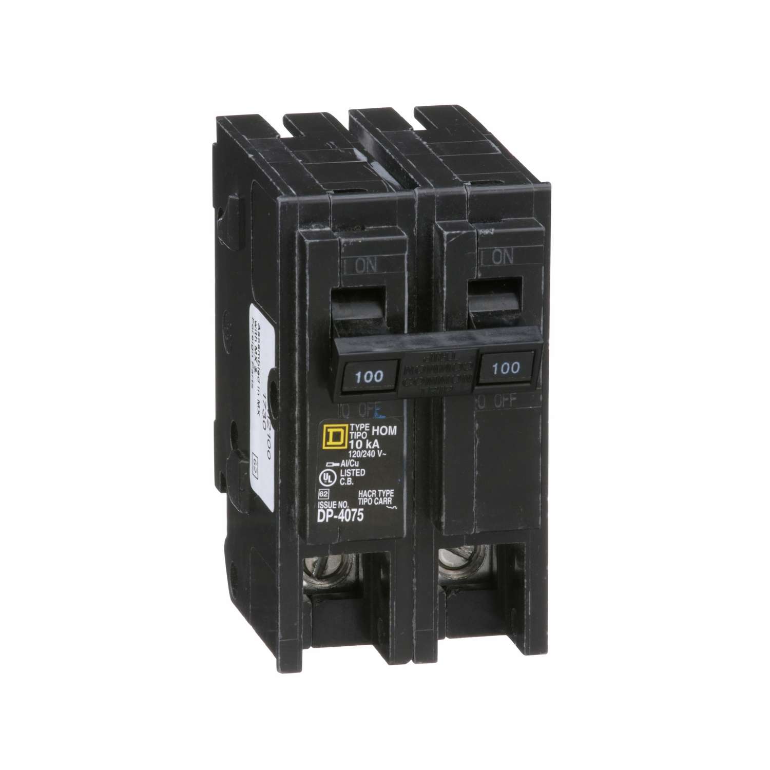 Square D HomeLine 100 amps Surge 2Pole Circuit Breaker Ace Hardware