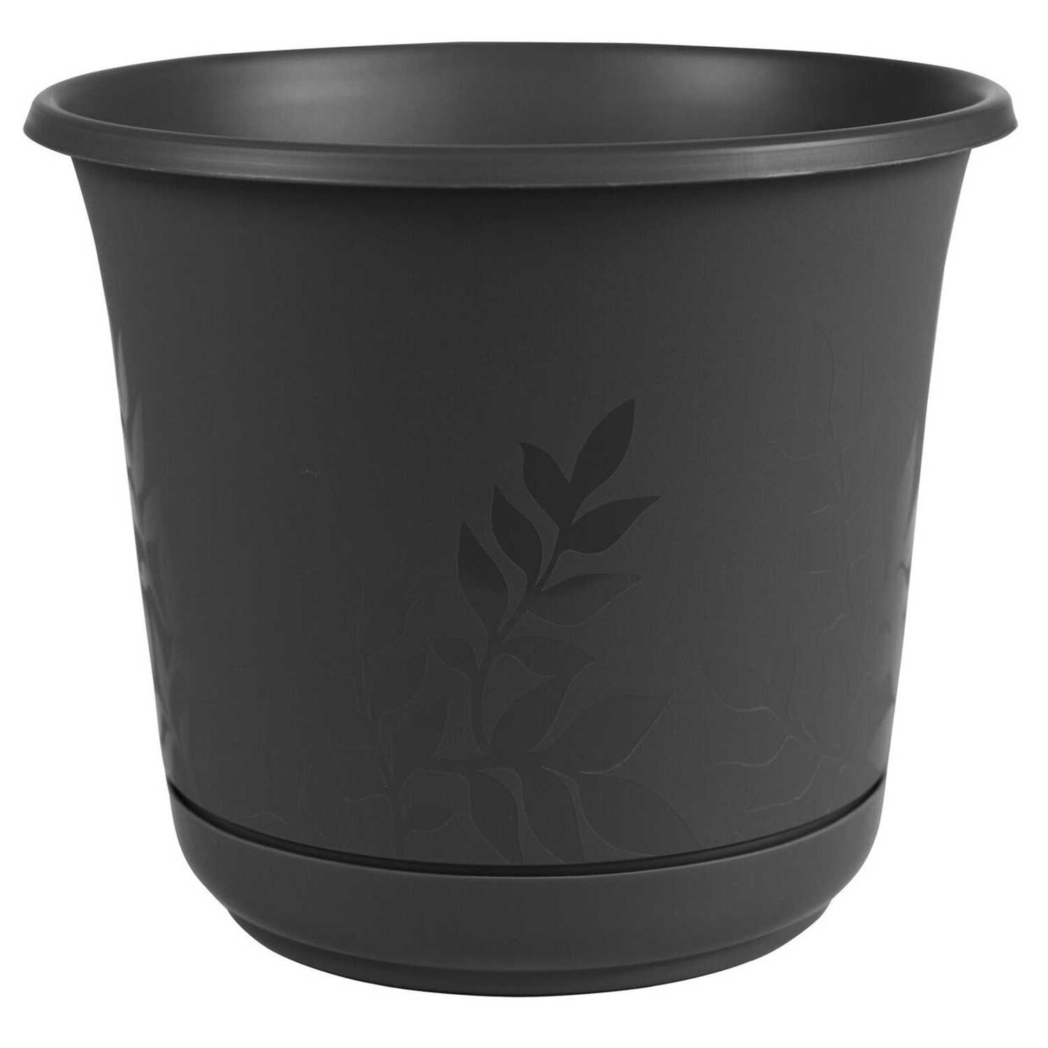 Bloem Freesia 6 in H Black Plastic Flower Pot  Ace  Hardware 