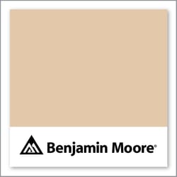 Benjamin Moore Yellow Squash 2161-50