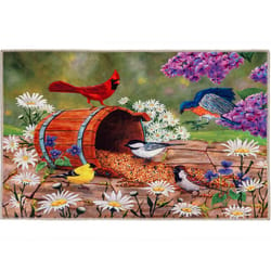 Olivia's Home 22 in. W X 32 in. L Multi-Color Bird Seed Barrel Polyester Accent Rug