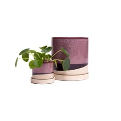 Chive Minute 5 in. D Ceramic Flower Pot Burgundy