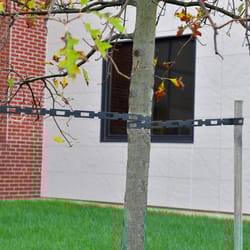 EasyFlex Black Plastic 0.5 in. H Tree Tie