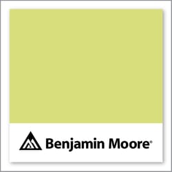 Benjamin Moore Chic Lime 396