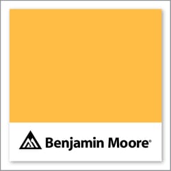 Benjamin Moore Oxford Gold 315