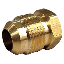 ATC 1/2 in. Flare Brass Hex Plug