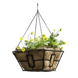 Panacea Steel Hanging Basket Black