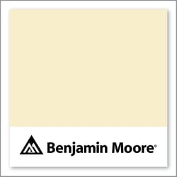 Benjamin Moore Ambiance 309