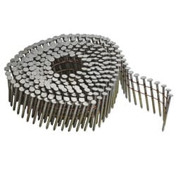 Bostitch 1-1/2 in. L X 11 Ga. Angled Coil Galvanized Siding Nails 15 deg 4,200 pk