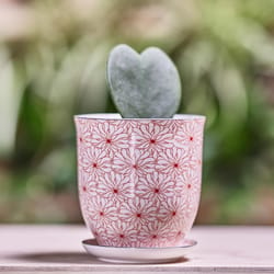 Chive Liberte 3.25 in. D Ceramic Succulent Pot Red Flowers