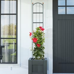 Panacea 60 in. H Black Steel Pot Trellis