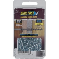 HILLMAN Bore-Fast 1/4 in. D X 2-1/2 in. L Steel Pan/Wafer Head Screw and Anchor 20 pk