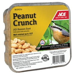 Ace Peanut Crunch Assorted Species Beef Suet 11 oz