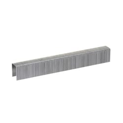 T50 1/2 in. Stainless-Steel Staples (1,000-Pack)