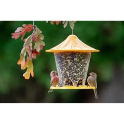 Stokes Select Wild Bird 2.7 lb Plastic Round Hopper Bird Feeder 6 ports