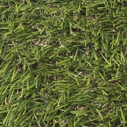 SYNLawn Fern 15 ft. W X 10 ft. L Green Polyethylene Astroturf