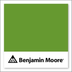 Benjamin Moore Baby Fern 2029-20