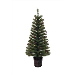 Celebrations 4 ft. Full LED 35 ct Nothern Pine Prelit Color Changing Christmas Tree