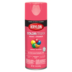 Krylon ColorMaxx Gloss Watermelon Paint + Primer Spray Paint 12 oz