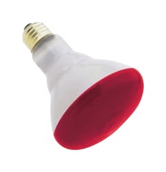 Westinghouse 75 W BR30 Floodlight Incandescent Bulb E26 (Medium) Red 1 pk