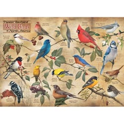 Cobble Hill Popular Backyard Wild Birds of North America Jigsaw Puzzle 1000 pc