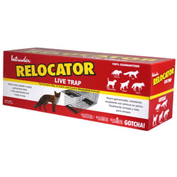 Intruder Relocator Extra Large Live Catch Animal Trap For Foxes 1 pk