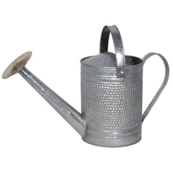 Robert Allen Jameson 1 gal Metal Watering Can