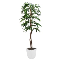 DW Silks 72 in. H X 30 in. W X 30 in. L Polyester Weeping Ficus Tree in White Planter