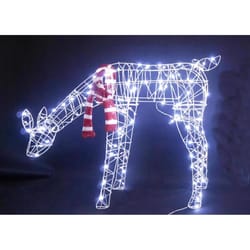 Celebrations LED Lighted Reindeer 2.25 ft. Yard Decor