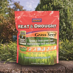 Bonide DuraTurf Mixed Full Sun Grass Seed 3 lb