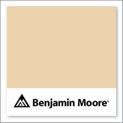 Benjamin Moore Natural Sand 2165-50