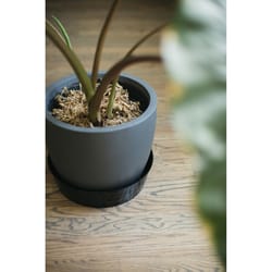 Everspring 6.5 in. H X 21 in. D Vinyl Plant Saucer Black